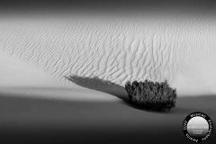Nicole Andrews - Mosman Photography Awards Finalist: Landcape Portfolio