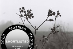 Santina Velo - Mosman Photography Awards Finalist: Analogue Portfolio