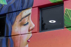 Murals of Frankston (Alan Scott)