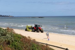 Murals of Frankston (Alan Scott ©)