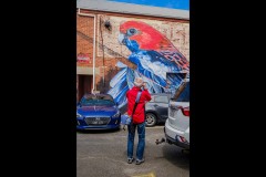 Murals of Frankston (Bob Clothier ©)