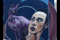 Murals of Frankston (Paul Palcsek)