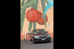 Murals of Frankston (David Davidson ©)