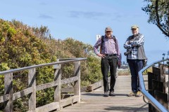 Murals of Frankston (Alan Scott ©)