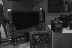 Museo Italiano & Lygon St (Lisa Xu ©)