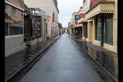 Museo Italiano & Lygon St (Robert Fairweather ©)
