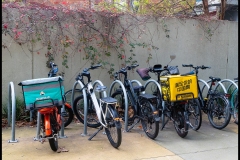 Museo Italiano & Lygon St (Jim Weatherill ©)