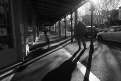 Museo Italiano & Lygon St (Terry Noske ©)