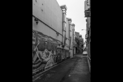 Museo Italiano & Lygon St (David Davidson ©)