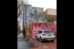 Museo Italiano & Lygon St (Bob Clothier ©)