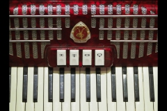 Museo Italiano & Lygon St (Paul Palcsek ©)