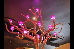 Museo Italiano & Lygon St (Paul Palcsek ©)