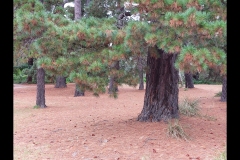 Museum of Australian Photography Outing (Paul Palcsek ©)