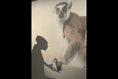 Museum of Australian Photography (Doni Baz ©)