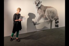 Museum of Australian Photography (Robert Fairweather ©)