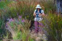Museum of Australian Photography (Carolyn Brandt ©)