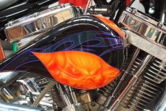 Naked Racer Moto (Joe Hajdu ©)