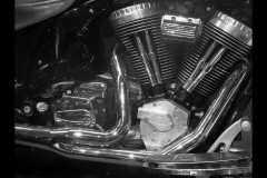 Naked Racer Moto (Joe Hajdu ©)