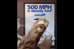 Naked Racer Moto (Bob Clothier ©)