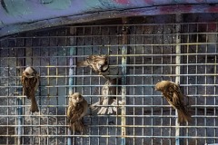 Marg-Huxtable-Get-me-out-of-here