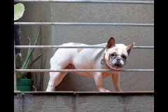 William - North-West CBD Laneways (Jim O\'Donnell ©)