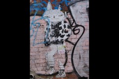 North-West CBD Laneways (David Marriott ©)