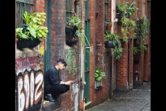 North-West CBD Laneways (Joe Hajdu ©)