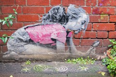 Curiosity - North-West CBD Laneways (Jim O\'Donnell ©)