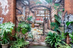 North-West CBD Laneways (Michael Brown ©)