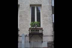 North-West CBD Laneways (Paul Palcsek ©)