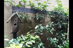 North-West CBD Laneways (Joe Hajdu ©)