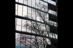 North-West CBD Laneways (Joe Hajdu ©)