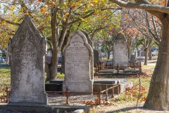 Oakleigh Walk (Phil Marley ©)