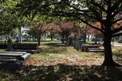 Oakleigh Walk (Mike Lewis ©)