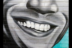 Oakleigh Walk (Jim O'Donnell ©)