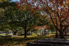 Oakleigh Walk (David Davidson ©)