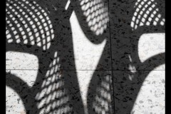 Oakleigh Walk (Nicole Andrews ©)