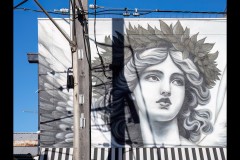 Oakleigh Walk (Marg Huxtable ©)