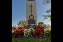 Oakleigh Walk (Michael Brown ©)