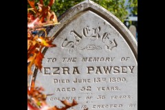 Oakleigh Walk (Phil Marley ©)