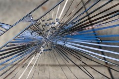 Oakleigh Walk (Nicole Andrews ©)