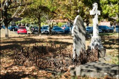 Oakleigh Walk (David Dyett ©)