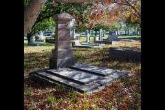 Oakleigh Walk (Michael Brown ©)