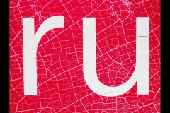 Oakleigh Walk (Marg Huxtable ©)