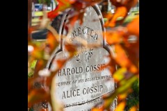 Oakleigh Walk (Phil Marley ©)