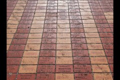 Oakleigh Walk (Jim O'Donnell ©)