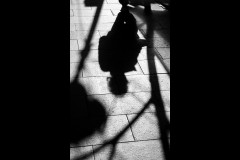 Oakleigh Walk (Jim Weatherill ©)