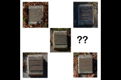 Oakleigh Walk (David Davidson ©)