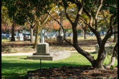 Oakleigh Walk (David Dyett ©)