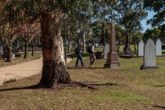Oakleigh Walk (David Davidson ©)